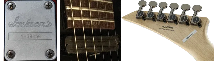 Jackson Guitar Serial Number